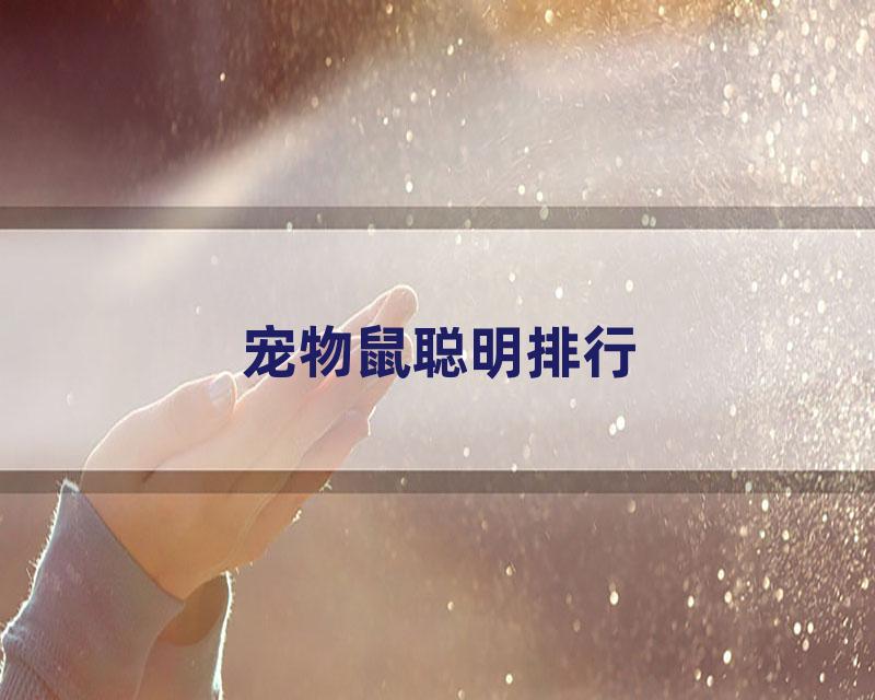 宠物鼠聪明排行