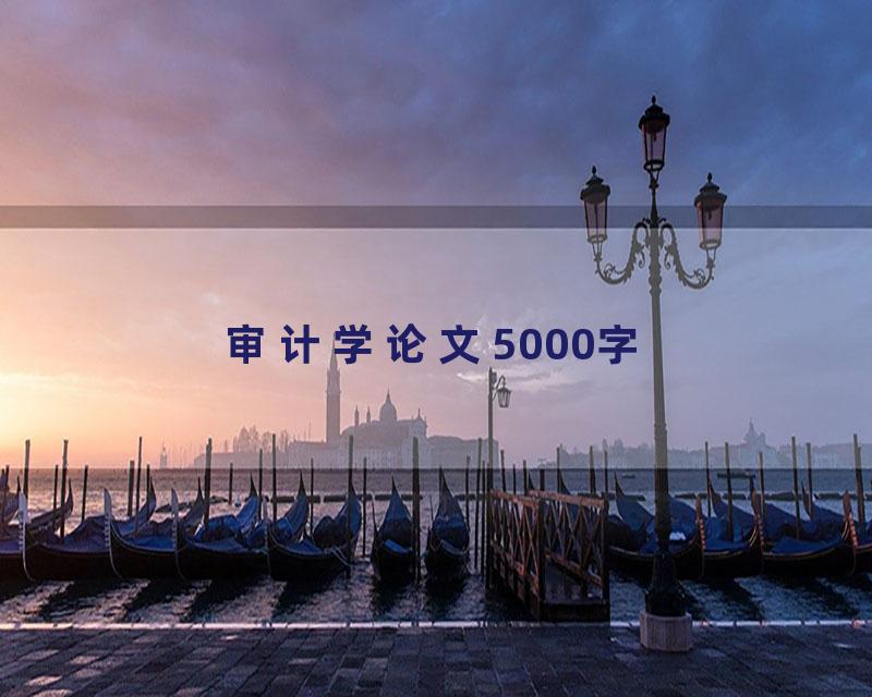 审计学论文5000字