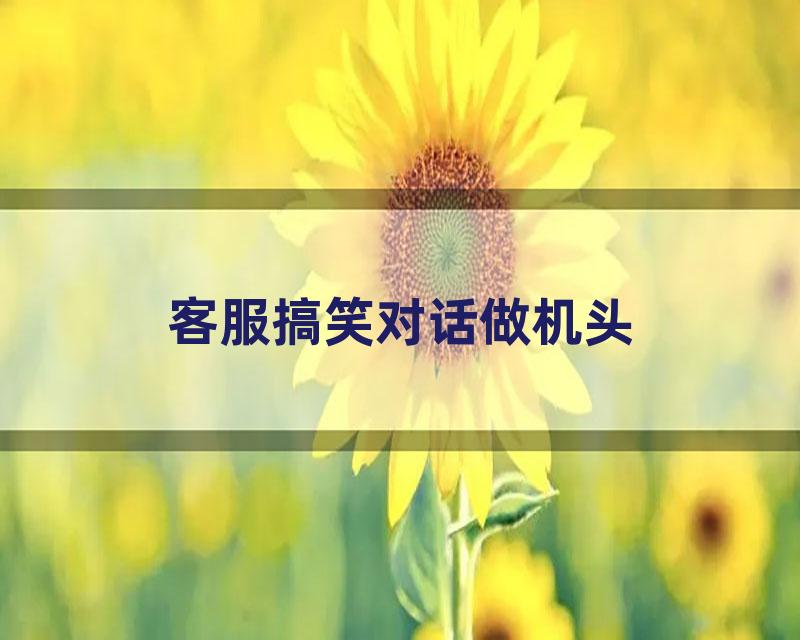 客服搞笑对话做机头