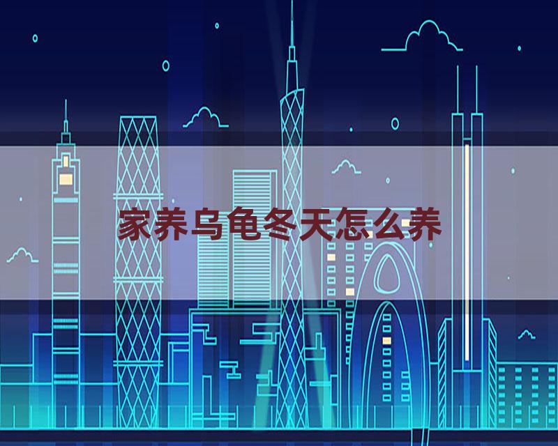 家养乌龟冬天怎么养