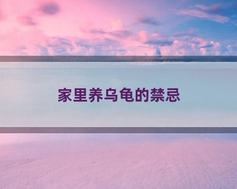 家里养乌龟的禁忌
