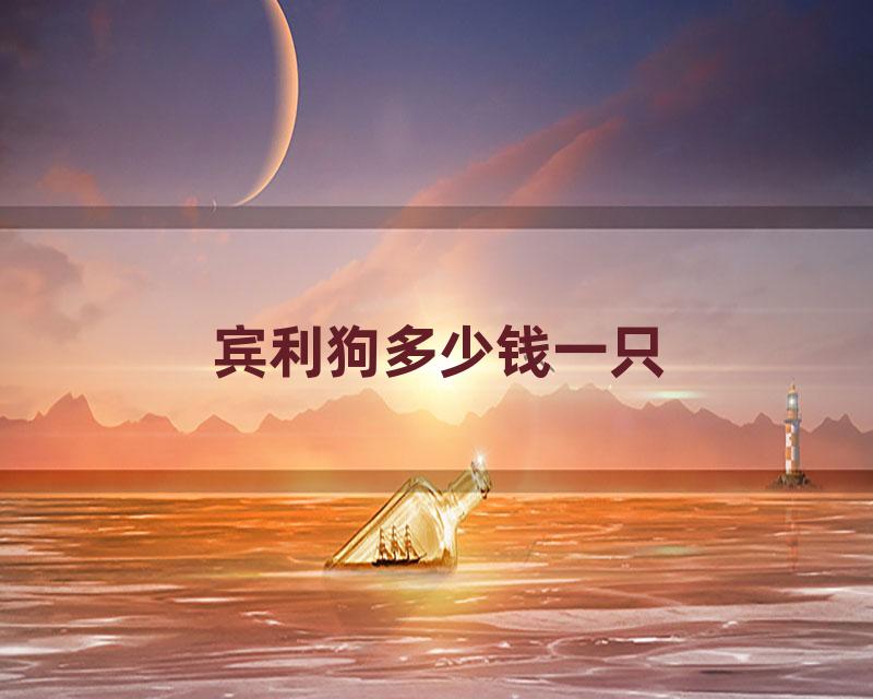 宾利狗多少钱一只