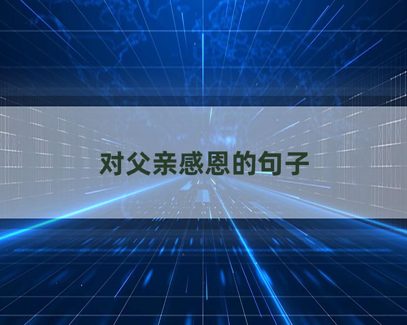对父亲感恩的句子