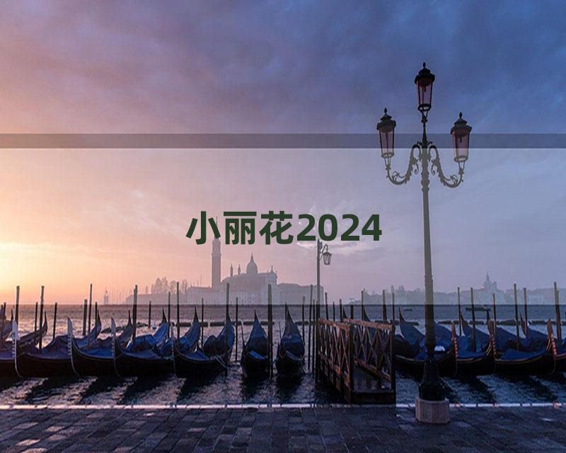 小丽花2024