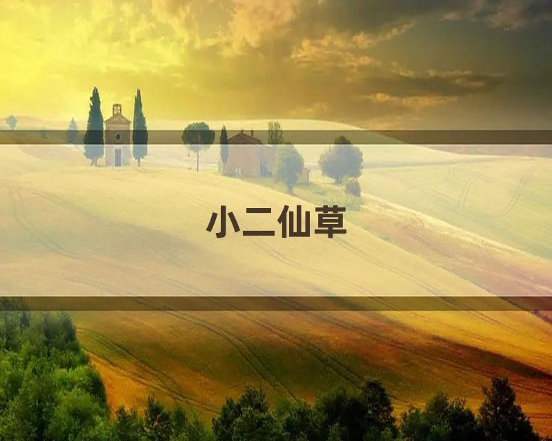 小二仙草