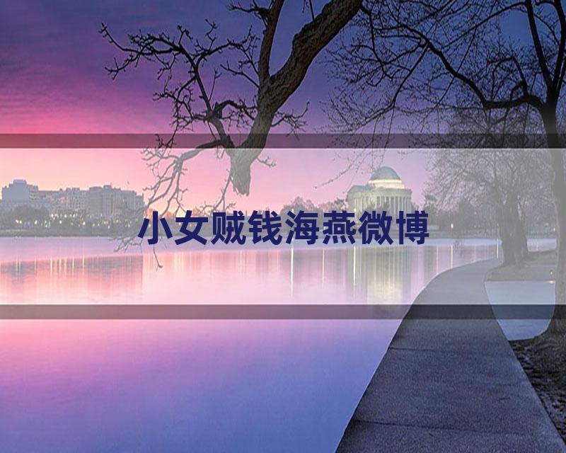 小女贼钱海燕微博