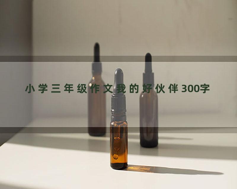 小学三年级作文我的好伙伴300字