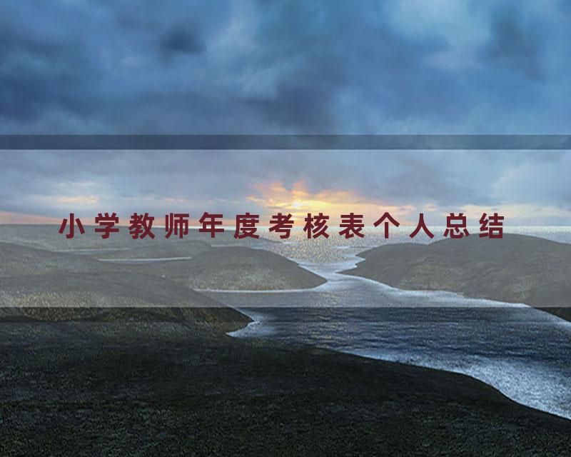 小学教师年度考核表个人总结