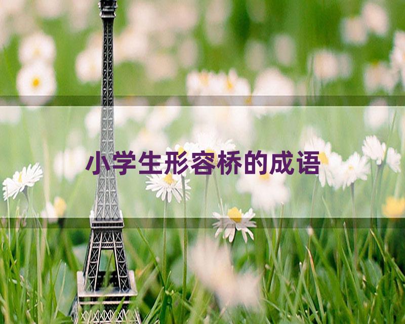 小学生形容桥的成语