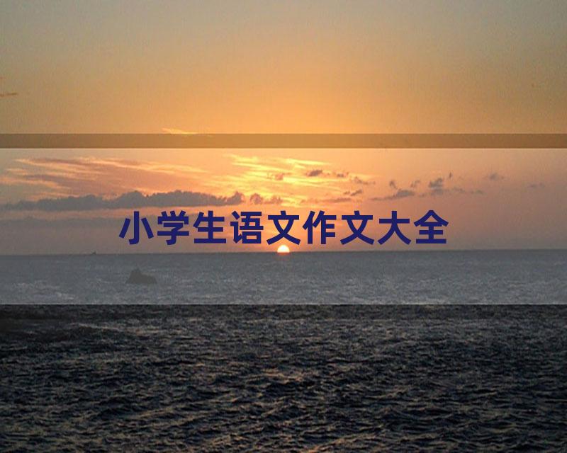 小学生语文作文大全