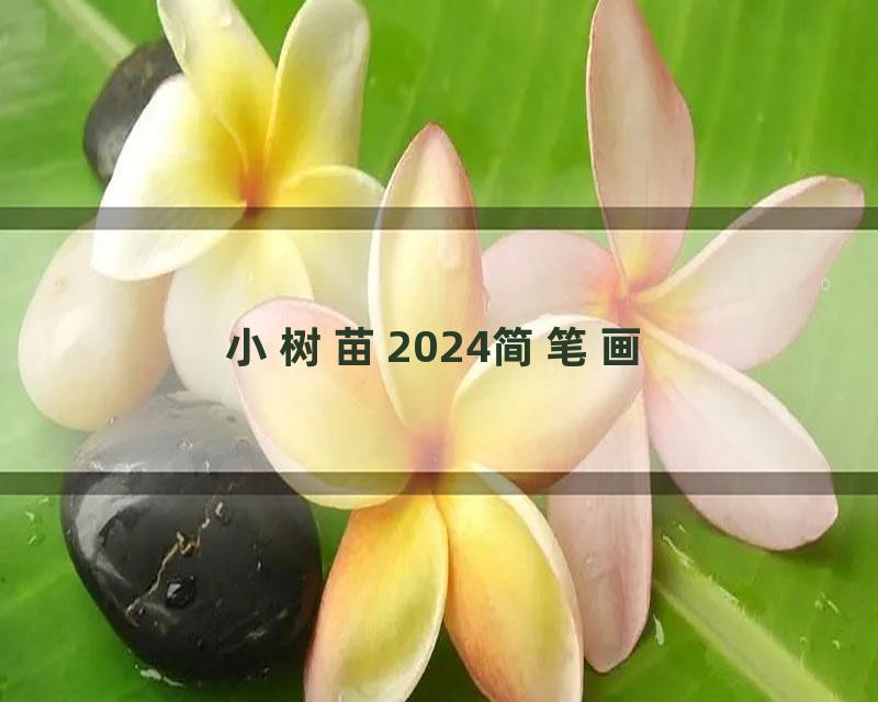 小树苗2024简笔画