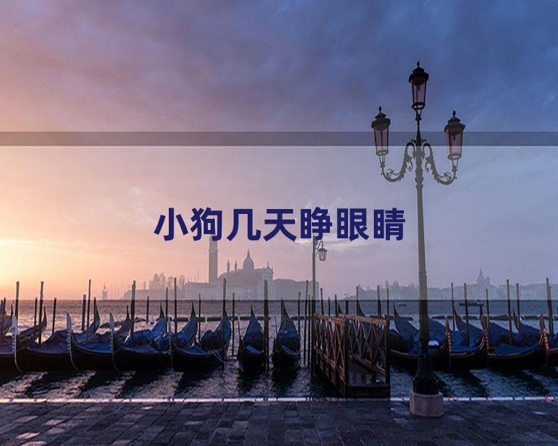 小狗几天睁眼睛