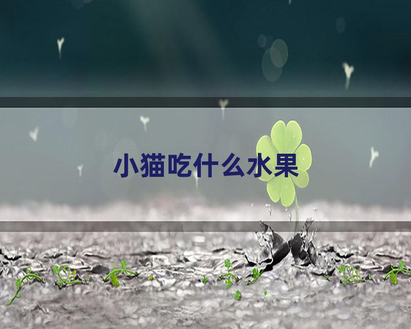 小猫吃什么水果