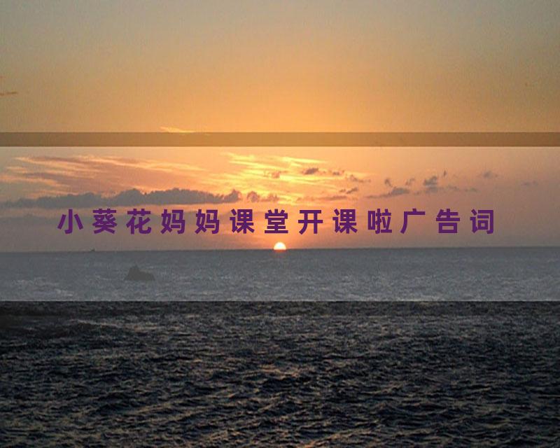 小葵花妈妈课堂开课啦广告词