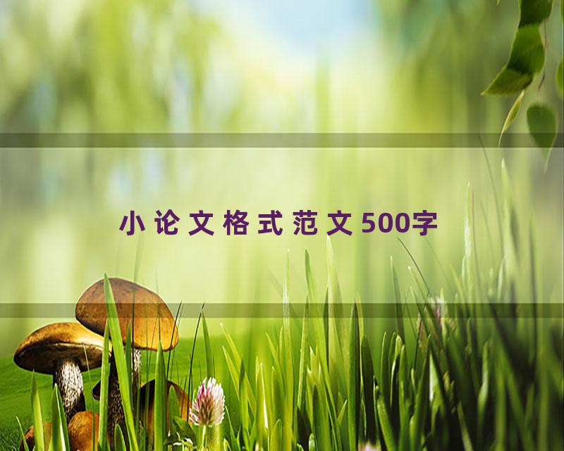 小论文格式范文500字