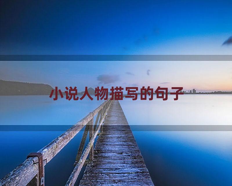 小说人物描写的句子