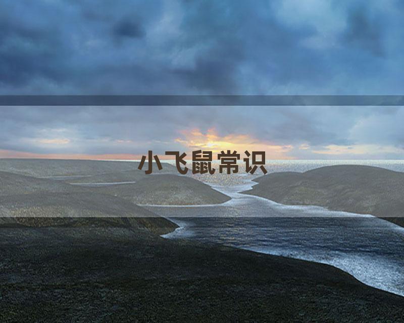 小飞鼠常识