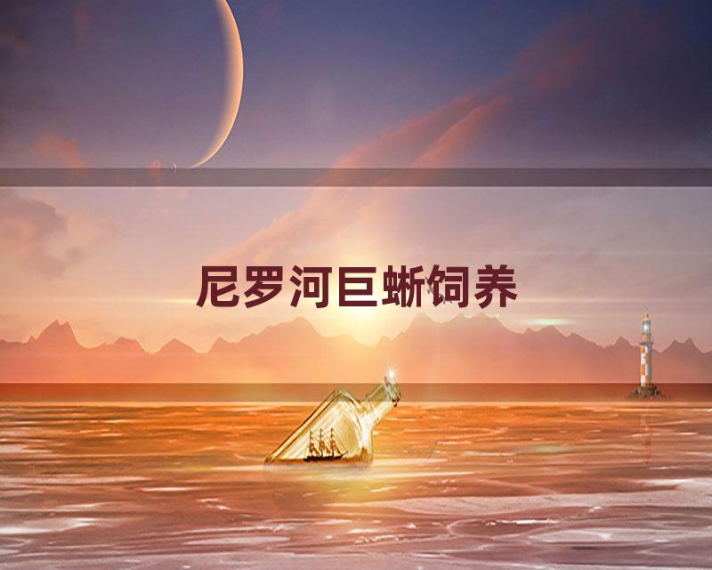 尼罗河巨蜥饲养