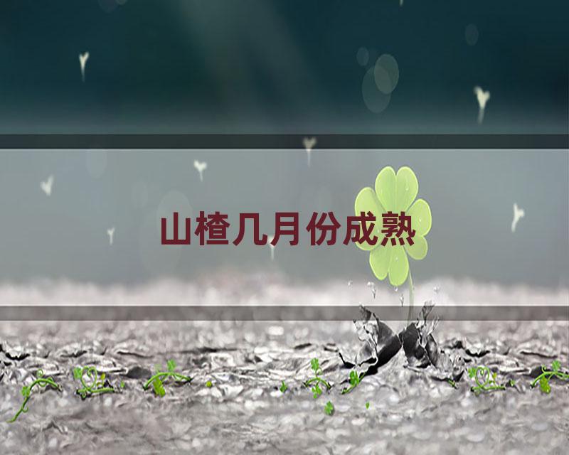 山楂几月份成熟