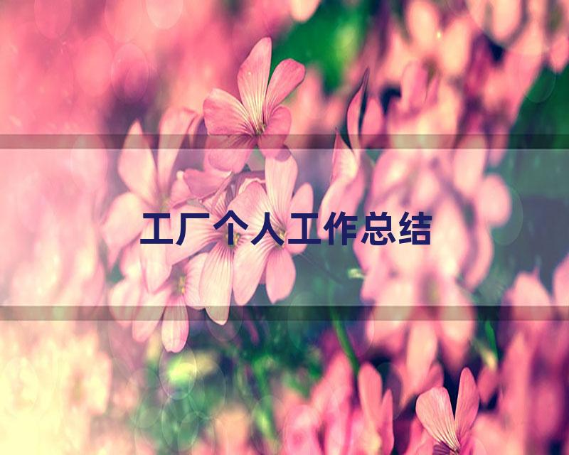 工厂个人工作总结