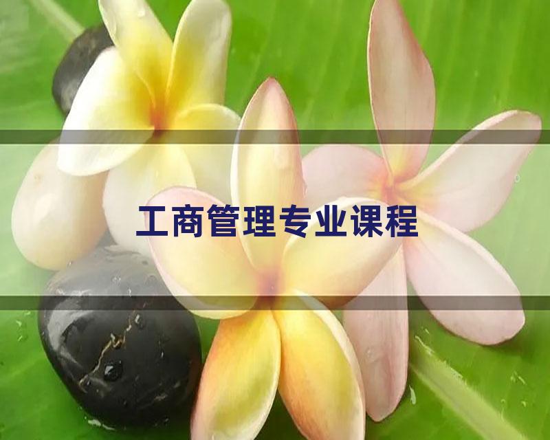 工商管理专业课程