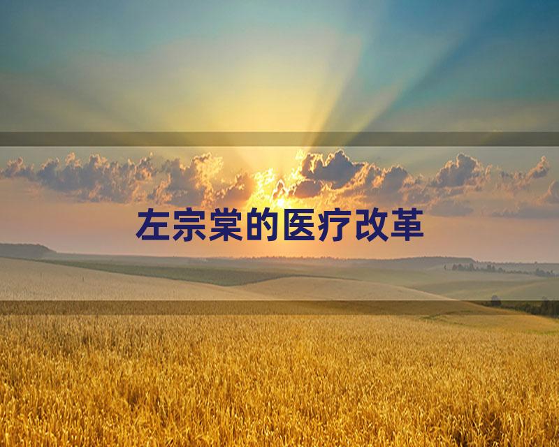 左宗棠的医疗改革