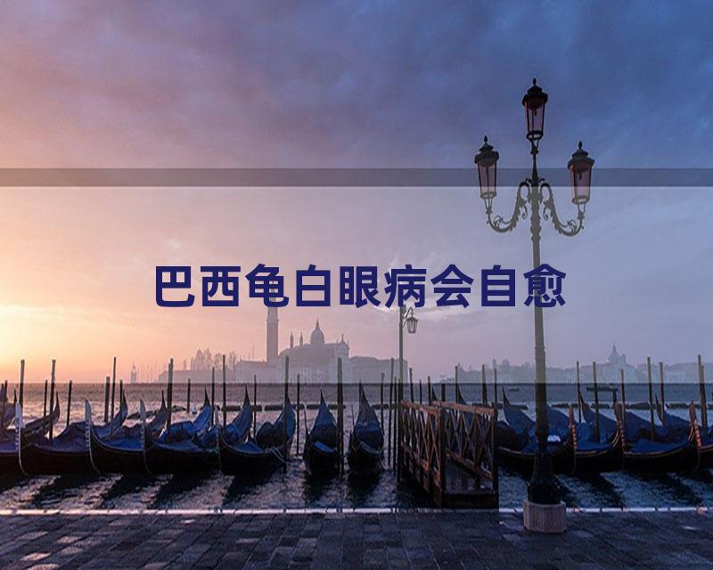 巴西龟白眼病会自愈