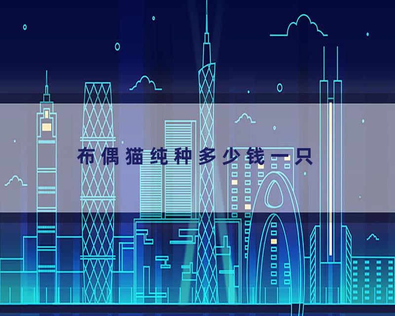 布偶猫纯种多少钱一只