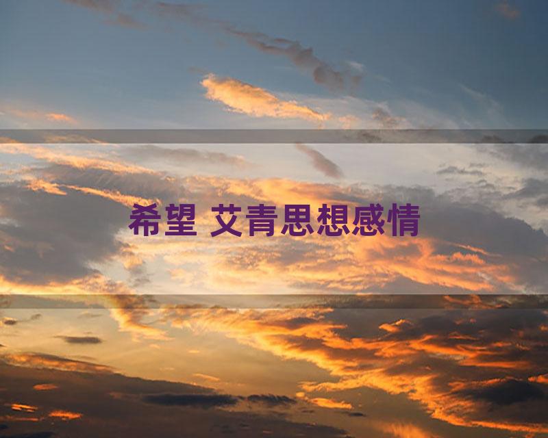希望 艾青思想感情
