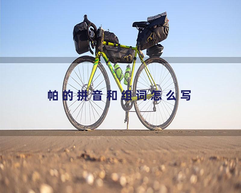 帕的拼音和组词怎么写