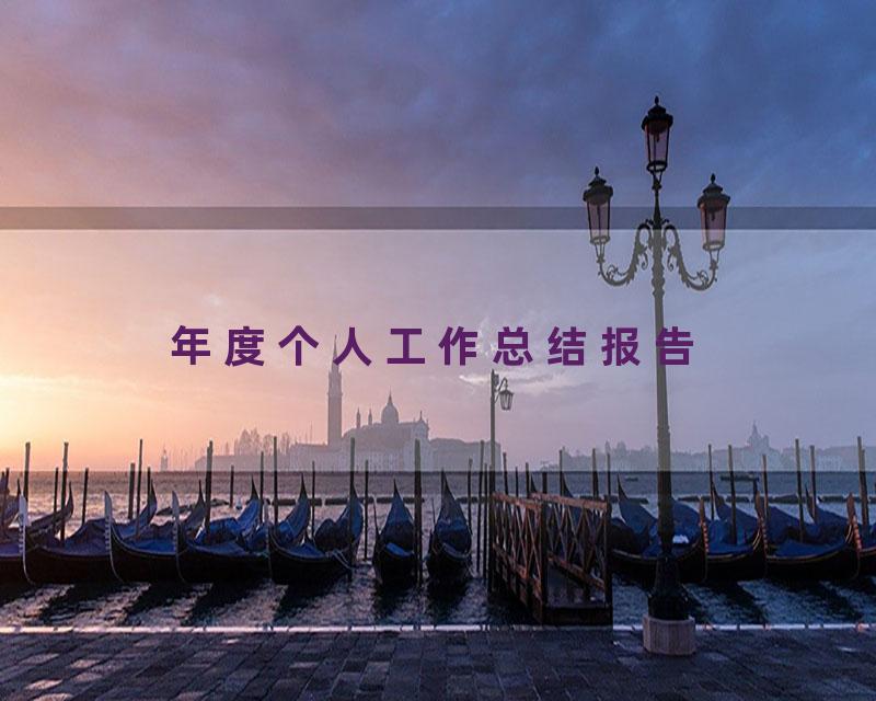 年度个人工作总结报告