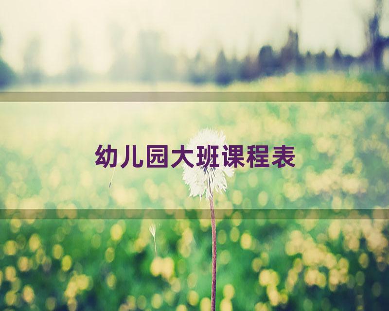 幼儿园大班课程表