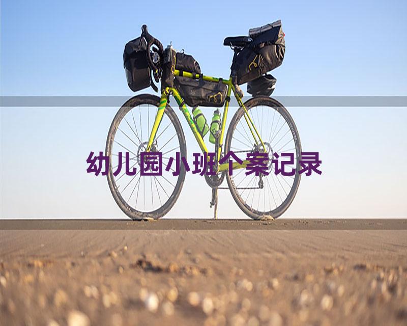 幼儿园小班个案记录