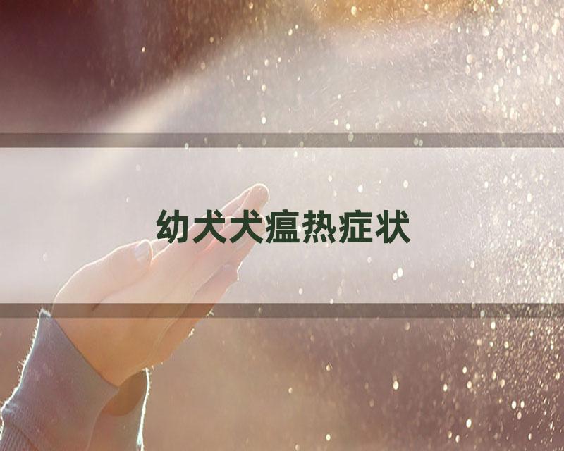 幼犬犬瘟热症状