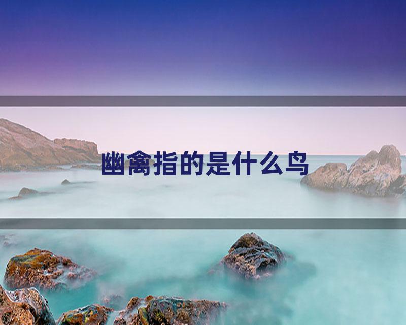 幽禽指的是什么鸟