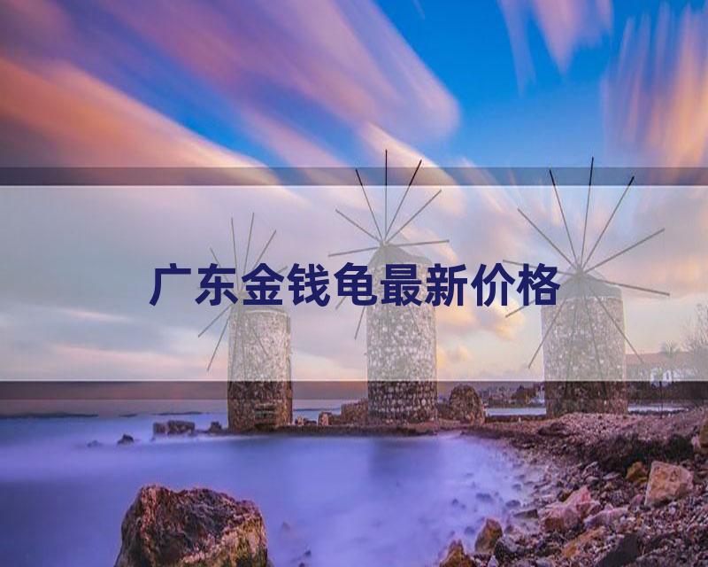 广东金钱龟最新价格