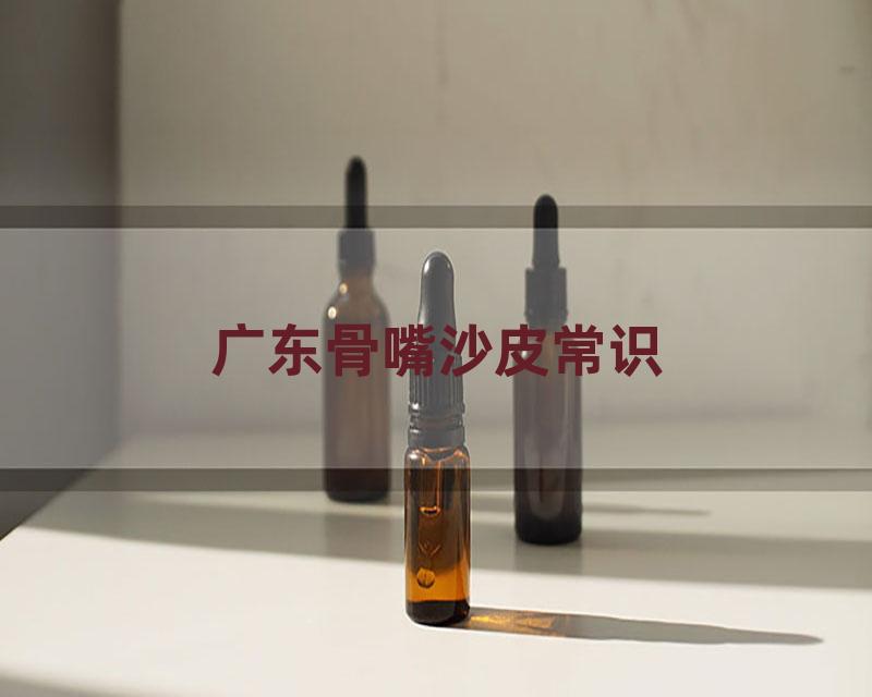广东骨嘴沙皮常识