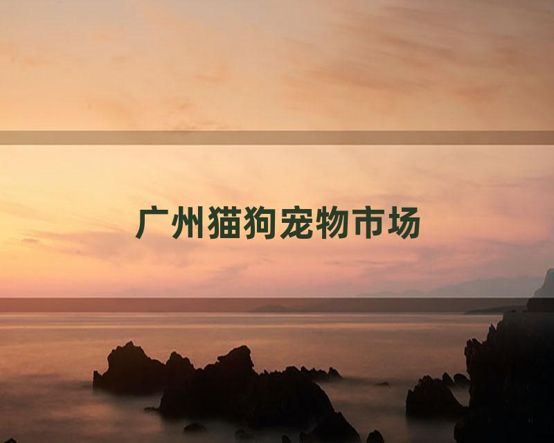 广州猫狗宠物市场