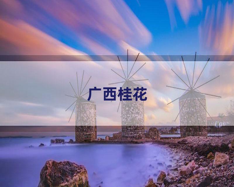 广西桂花