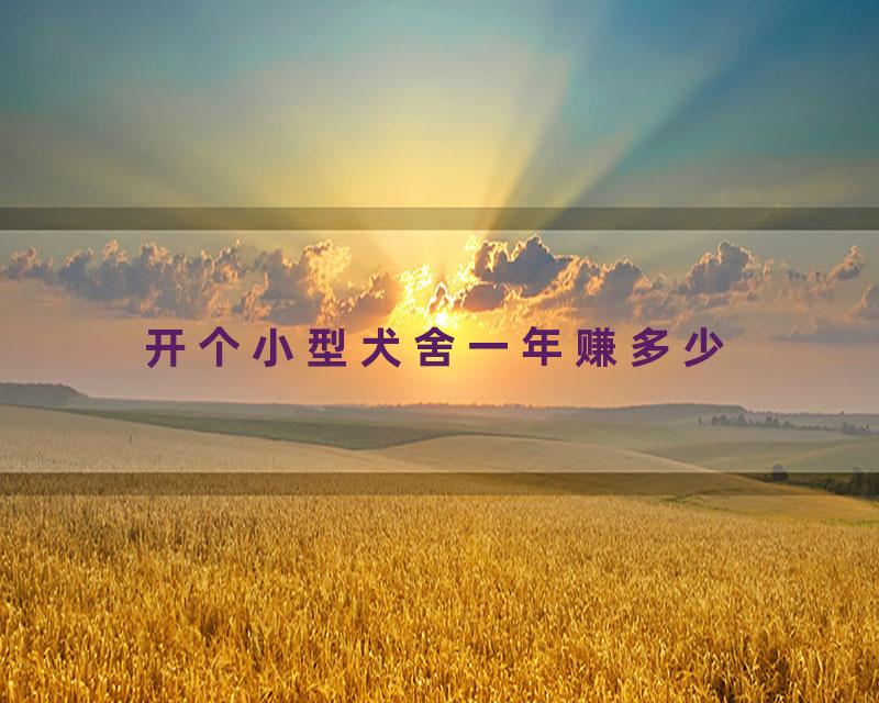 开个小型犬舍一年赚多少