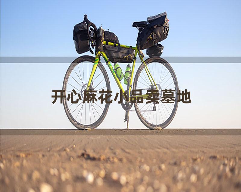 开心麻花小品卖墓地