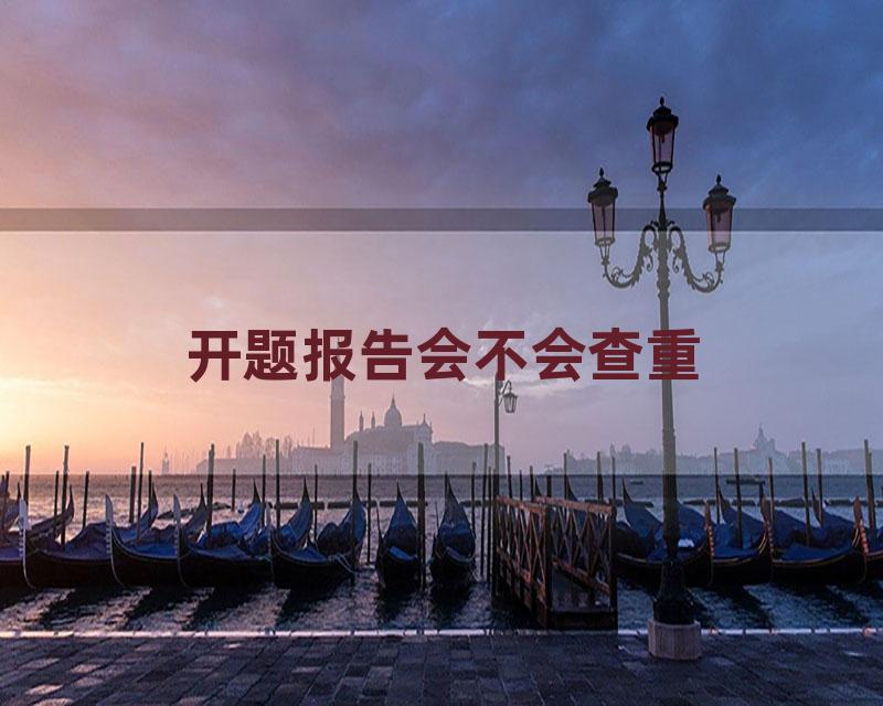 开题报告会不会查重