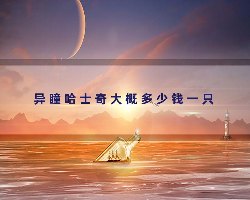 异瞳哈士奇大概多少钱一只