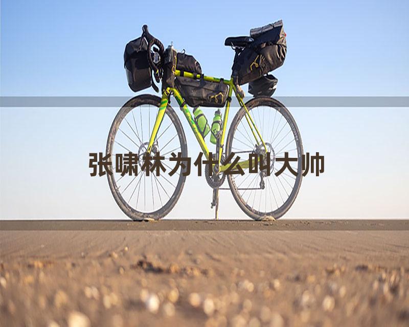 张啸林为什么叫大帅