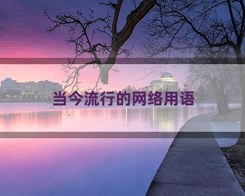当今流行的网络用语