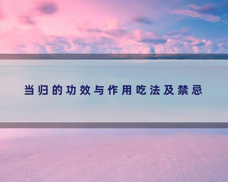 当归的功效与作用吃法及禁忌