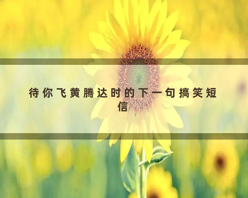 待你飞黄腾达时的下一句搞笑短信