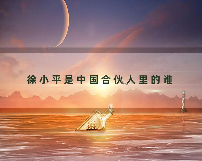 徐小平是中国合伙人里的谁