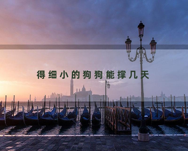 得细小的狗狗能撑几天