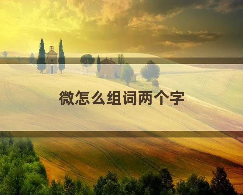 微怎么组词两个字